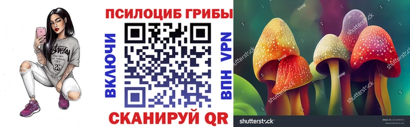 Купить закладки  Емва  Галлюциногенные грибы прущие грибы 