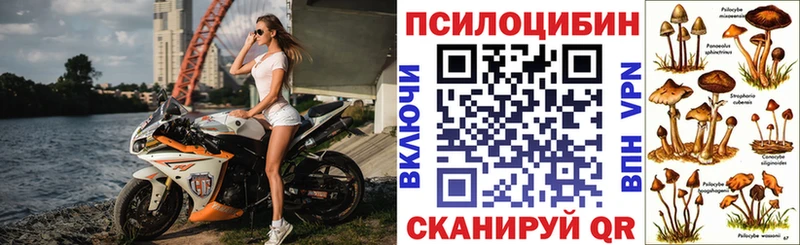 Галлюциногенные грибы мицелий Емва